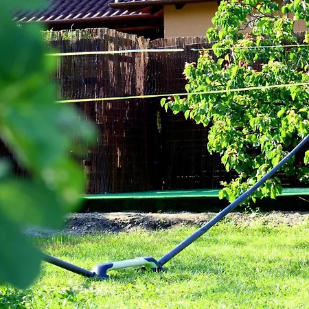 Friends & Family Веленце