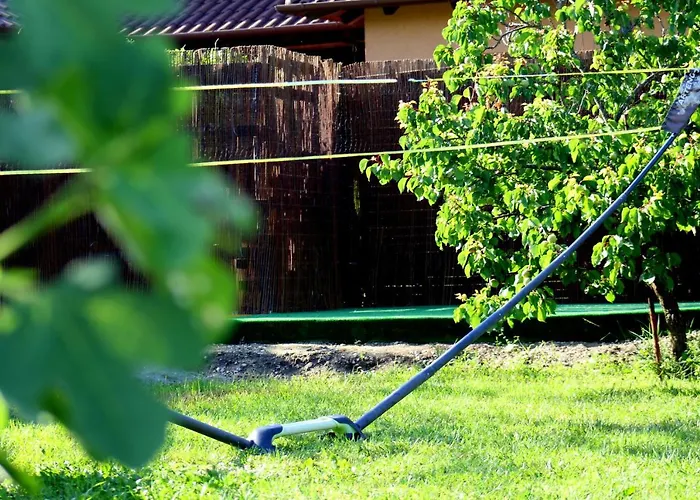 Friends & Family ולנצה